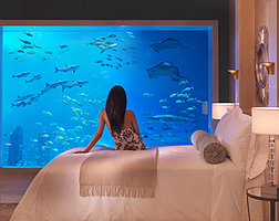 Accommodation Information at Atlantis The Palm Dubai